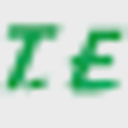 TIMES EXPRESS LTD logo