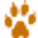 TINGARI FOUNDATION logo