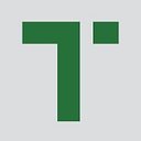 Favicon of Tint FS
