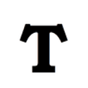 TINTY FOUNDATION INC logo