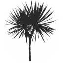 Tinui School logo