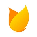 Tinyeye technologies Corporation