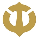 Titan Security logo