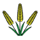 Tithe Farm Primary School logo