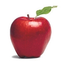 TLTP Education logo