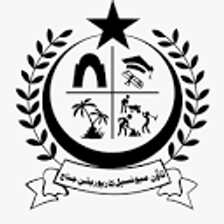 tmcjinnah.gos.pk