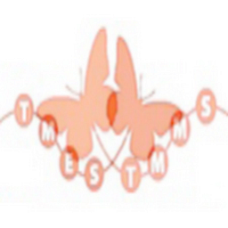 Montessori Elementary School logo