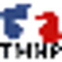Texas Medicaid & Healthcare Partnership logo