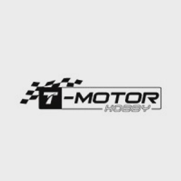 T Motor Limited logo