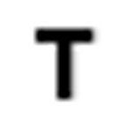 Thomas Nelson Abdella MD Foundation logo