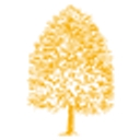 The New Community School logo