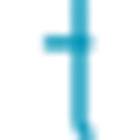 Logo for tnf.com