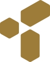 Tng Limited logo