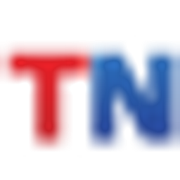 Transnational Software Services INC logo