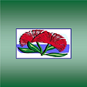 Tomarata School logo