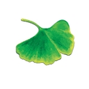 Favicon of Tom Boswell Tree Services