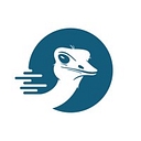 Tommyrun logo