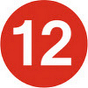 top12 logo