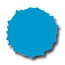Top Coat Painting logo