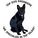 Topdogengineers logo