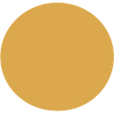 Torex Gold Resources Inc. logo