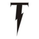 Toric Engineering logo