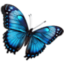 Tori Lynn Andreozzi Foundation logo