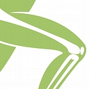 Toronto Physiotherapy logo