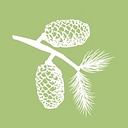 Torrey Pines Dermatology & Laser Center