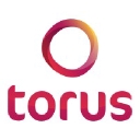 Favicon of Torus Developments