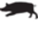 Total Swine Genetics Inc. logo