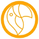 Toucan Marketing Group logo