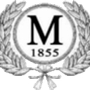 Town of Mason logo
