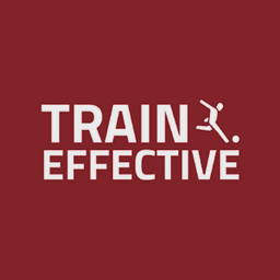 Train Effective Ltd logo