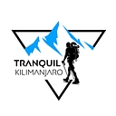 Favicon of Tranquil Kilimanjaro
