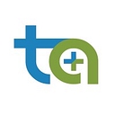 Trans Audit, Inc. logo