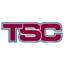 Transolutions Consulting logo