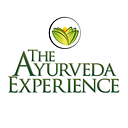 Transformative Ventures logo