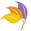 TRANSITIONAL SERVICES INC