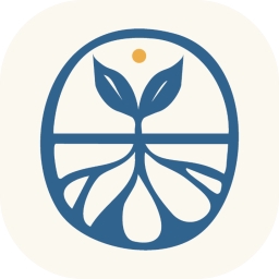 Transition Network - logo