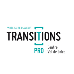 transitionspro-cvl.fr