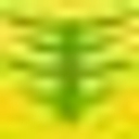 translignum.cz icon