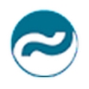 Translingua logo