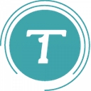 Transportation One Llc logo