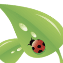 TRANSPORTS ALLAN logo
