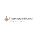 Transvisionary Solutions Llc logo