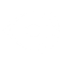 Transvoyant logo