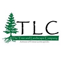 The Tree And Landscape Company logo