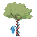 Favicon of Tree Biotechnology Programme Trust (TBPT)