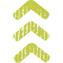 Tree Street Youth logo